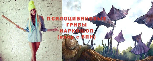 дурь Белокуриха