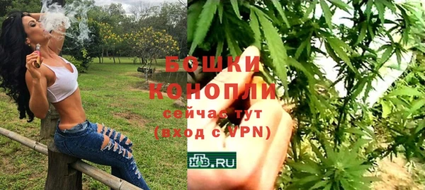 дурь Белокуриха